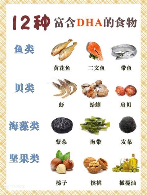 什么食物含DHA