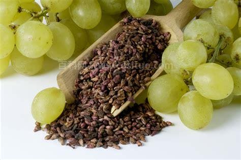 葡萄籽的功效与作用有哪些
