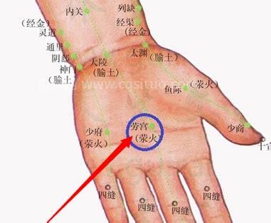 劳宫穴位位置图