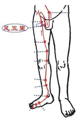 足五里穴位位置图