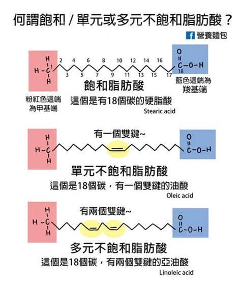 多不饱和脂肪酸的功用与重要性讲解