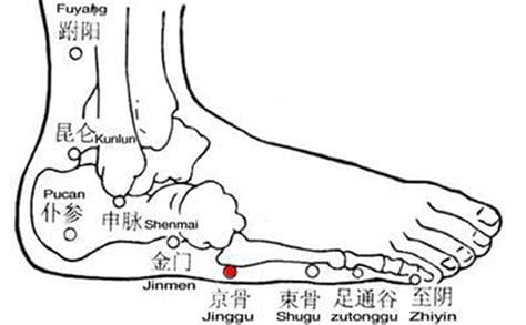 京骨穴位位置图