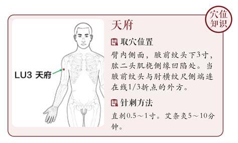 天府穴位位置图