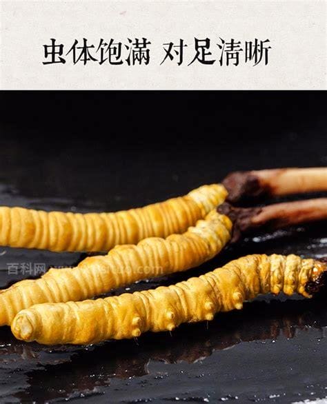 冬虫夏草的食用方法，冬虫夏草怎么吃