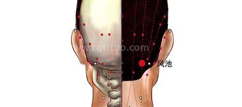 风池穴位位置图