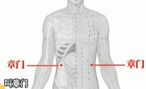 章门穴位位置图