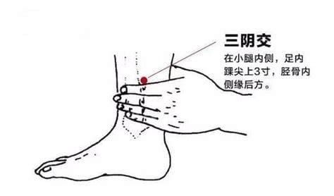 阴交穴穴位位置图