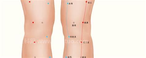 膝眼穴位位置图