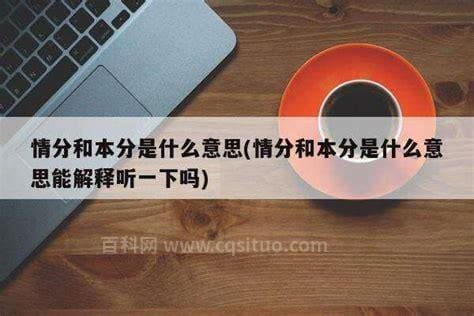 情分是什么意思