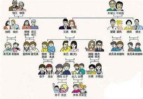 主要社会关系包括哪些