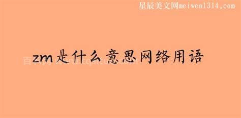 zm是什么意思