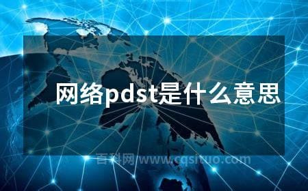 网络pdst是什么意思