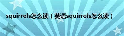 squirrels怎么读什么意思