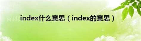 index什么意思