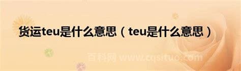 teu是什么意思