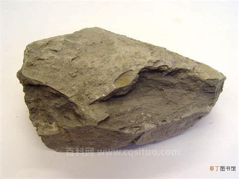 页岩是一种什么岩石