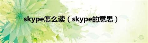 skype怎么读什么意思