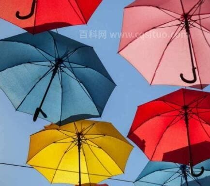 小雨伞是什么意思网络语言