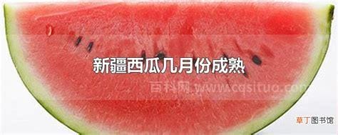 新疆西瓜几月份成熟