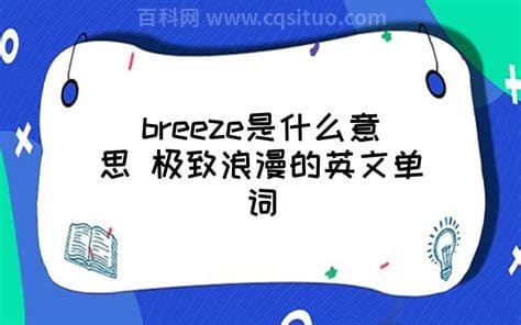 breeze是什么意思