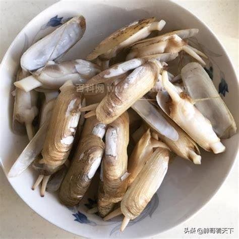 男人吃蛏子的好处