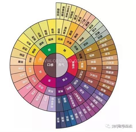 taste怎么读音什么意思