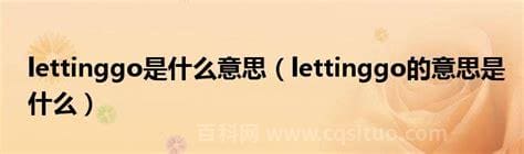 lettinggo是什么意思