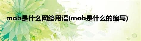 mob是什么意思网络用语