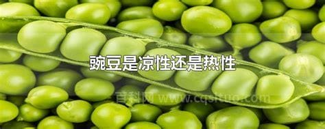 豌豆是凉性还是热性食物