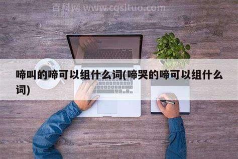 啼可以组什么词