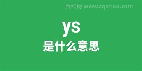 ys是什么意思