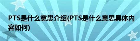 pts是什么意思