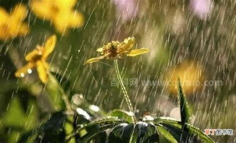 春雨像什么一样轻轻落在地上