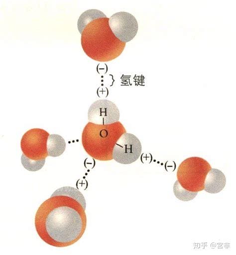 氢键作用是什么