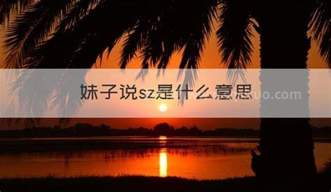 sz是什么意思