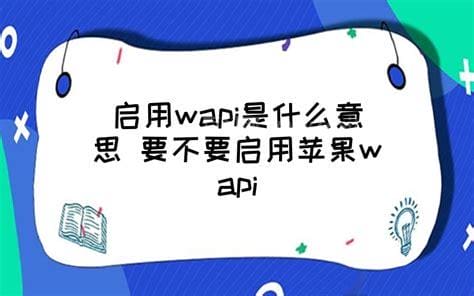 启用wapi是什么意思