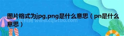 pn是什么意思啊