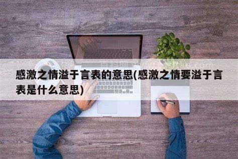 感激之情溢于言表的意思