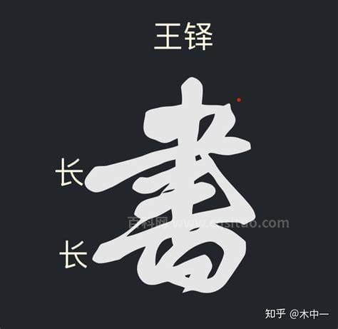 网是什么结构的字