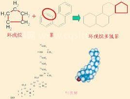 固醇分为哪三类是什么