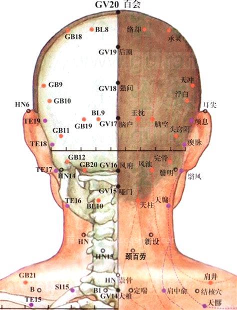 百会穴的功效 百会穴的功效艾灸