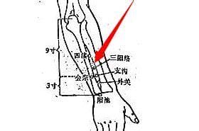 三阳络的作用和功效,三阳络的定位和主治