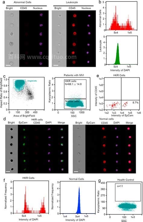 CD45是什么意思