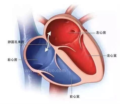 心房是什么意思