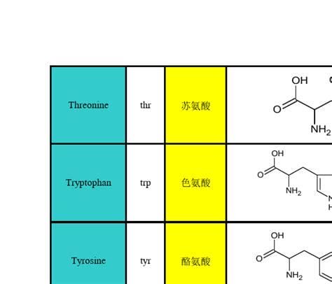 第21个氨基酸是什么