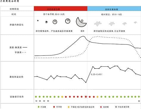 月经先期什么意思