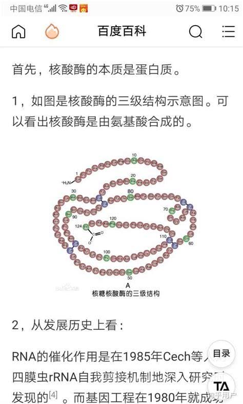 dna水解酶