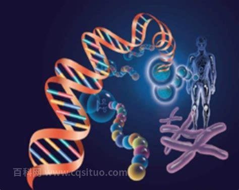 转基因和非转基因有什么区别，转基因危害大