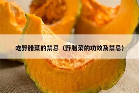 吃野腊菜的禁忌