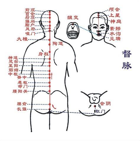 打通督脉的最快方法